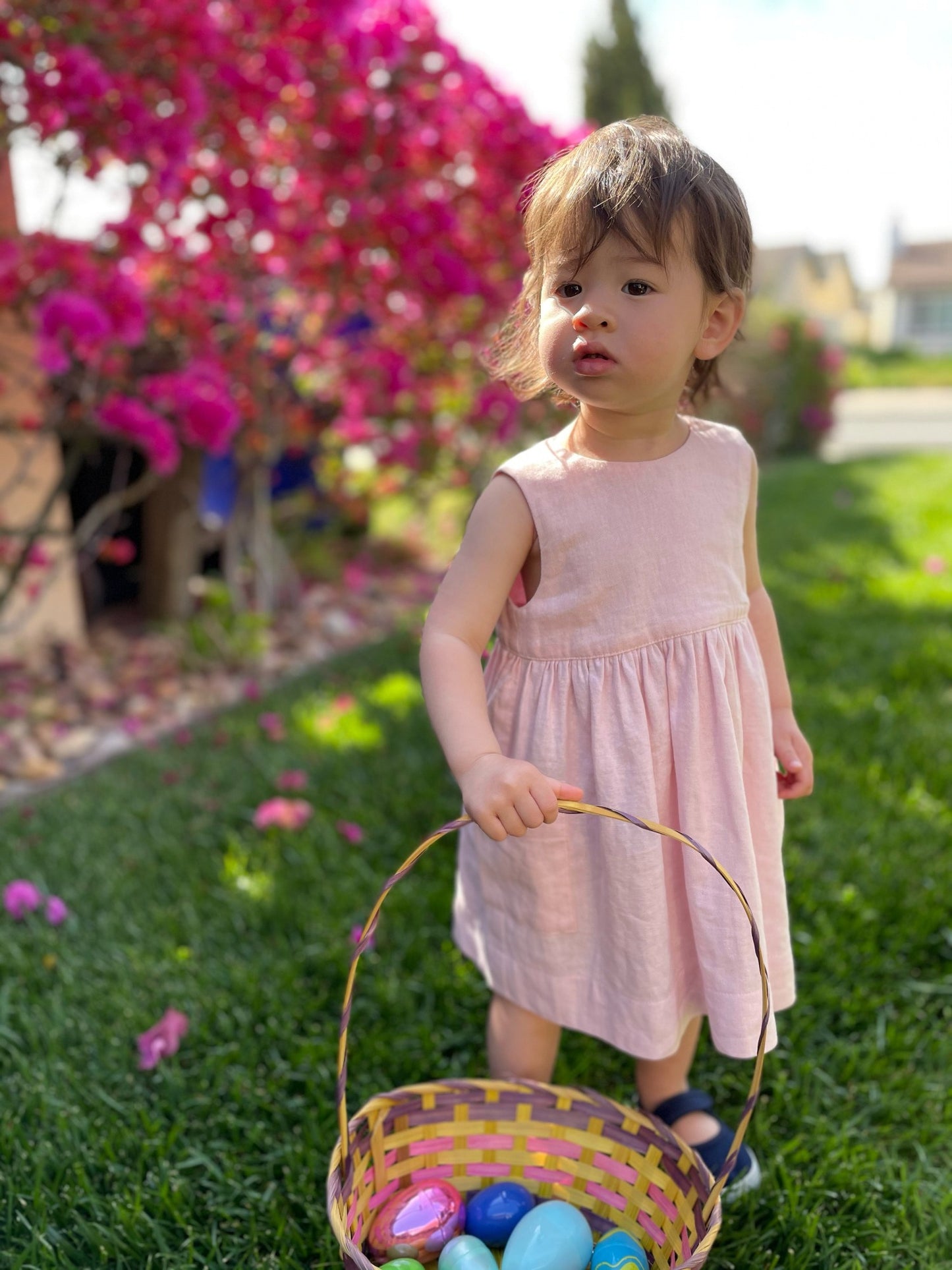 Lucille Dress in Blush