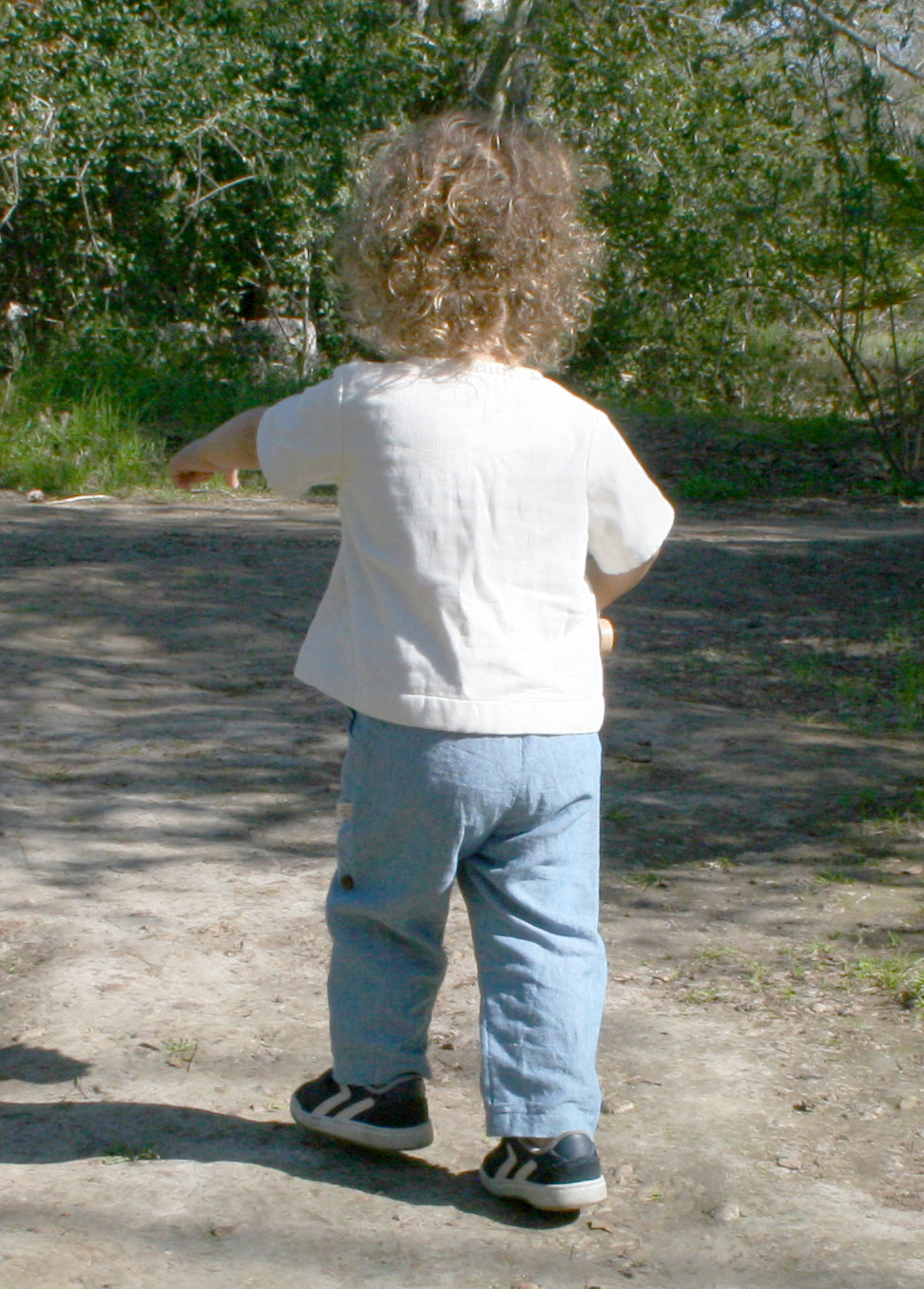 Roll-Up Pant in Chambray