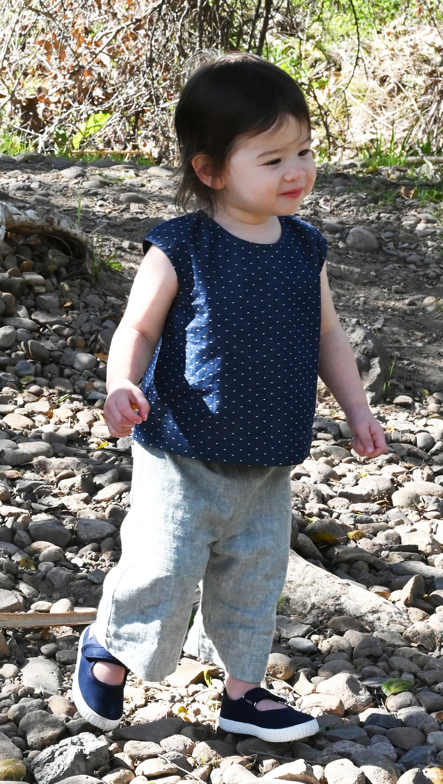 Cora Beachcomber Cropped Pant in Sage
